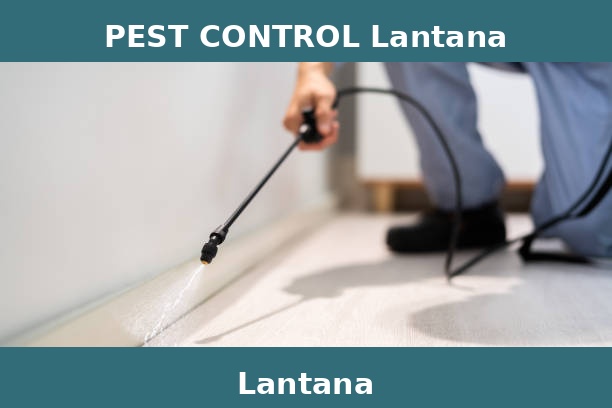 PEST CONTROL Lantana